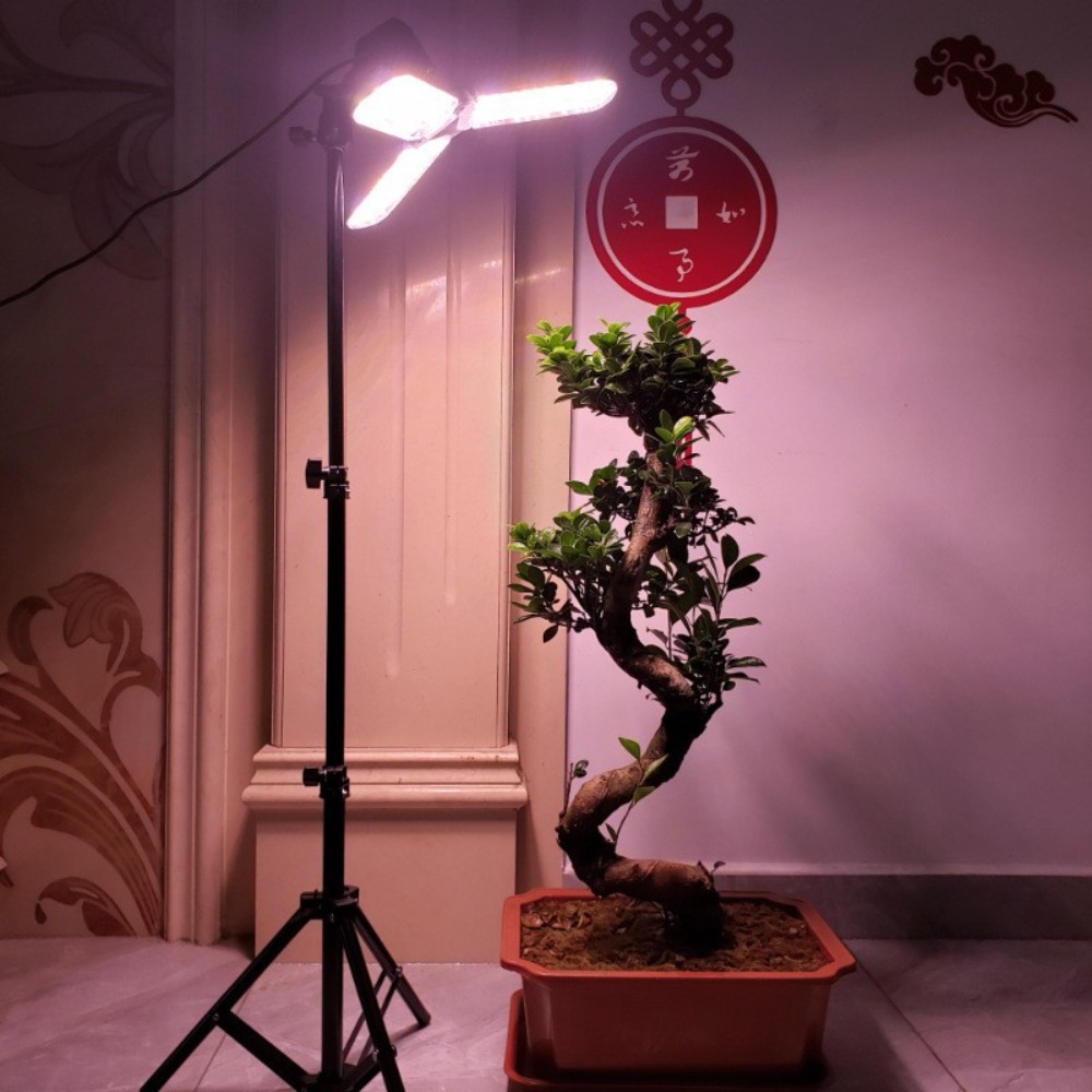 Light Bulb Stand 2M, E27 AC So - Lighting In Photography Studio recension och pris