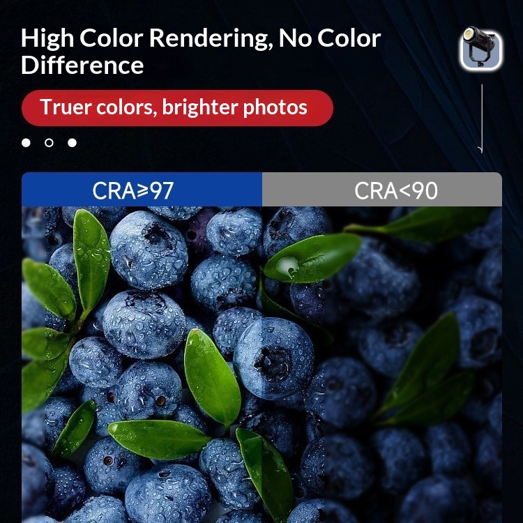Professional 500W AC Powered L - Photography Lighting For Food recension och pris