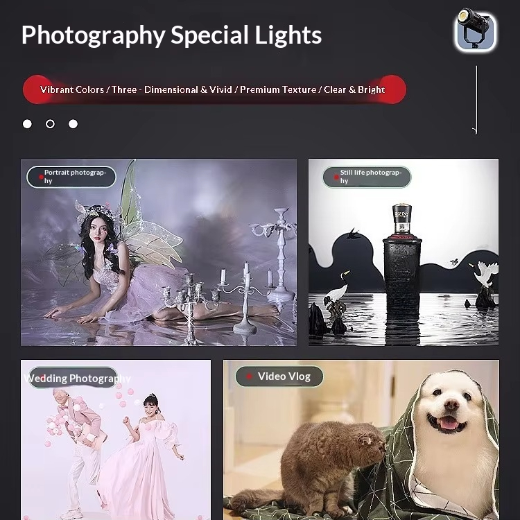 Professional 500W AC Powered L - Photography Lighting For Food recension och pris