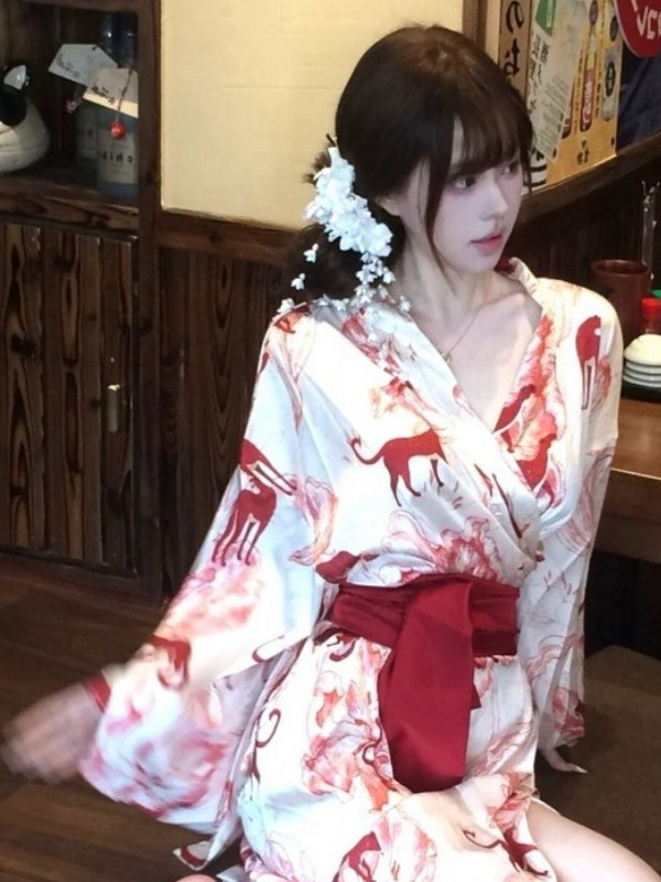 New Chinese Style Sleepwear Ha - Lighting In Photography Studio recension och pris