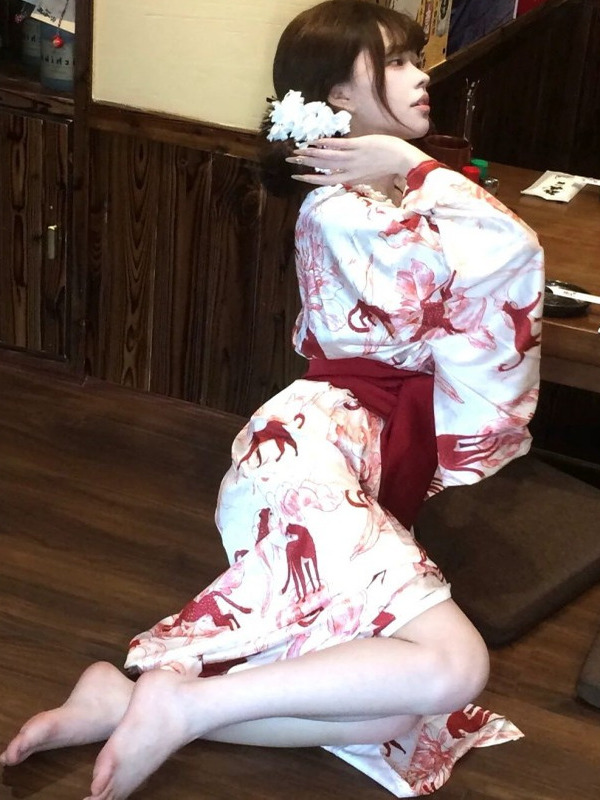 New Chinese Style Sleepwear Ha - Lighting In Photography Studio recension och pris