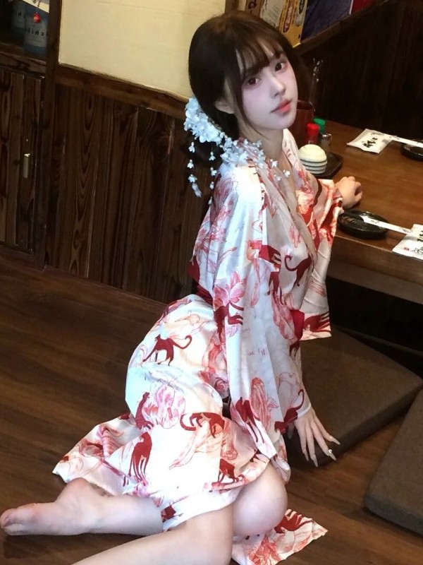 New Chinese Style Sleepwear Ha - Lighting In Photography Studio recension och pris