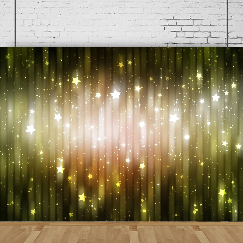 Shiny Glitter Photography Back - Photography Lighting For Portraits recension och pris